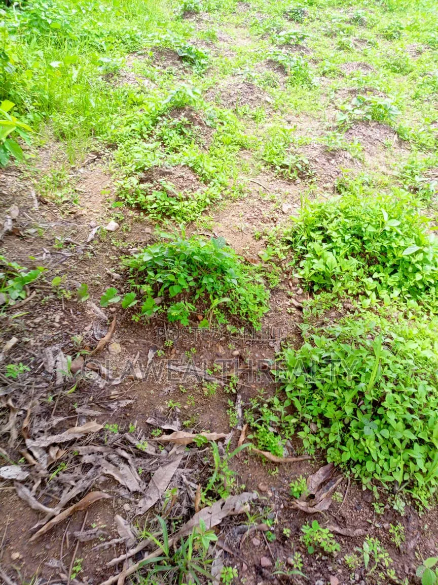 1,574sqm Residential Land at Wuse 2 in Apo Resettlement