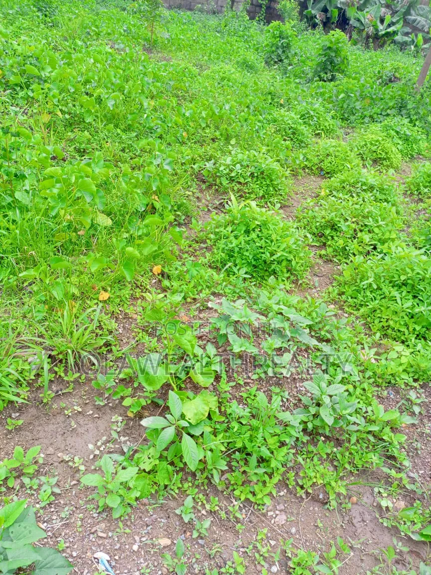 1.04hectare Commercial Land at Jabi Main in Jabi