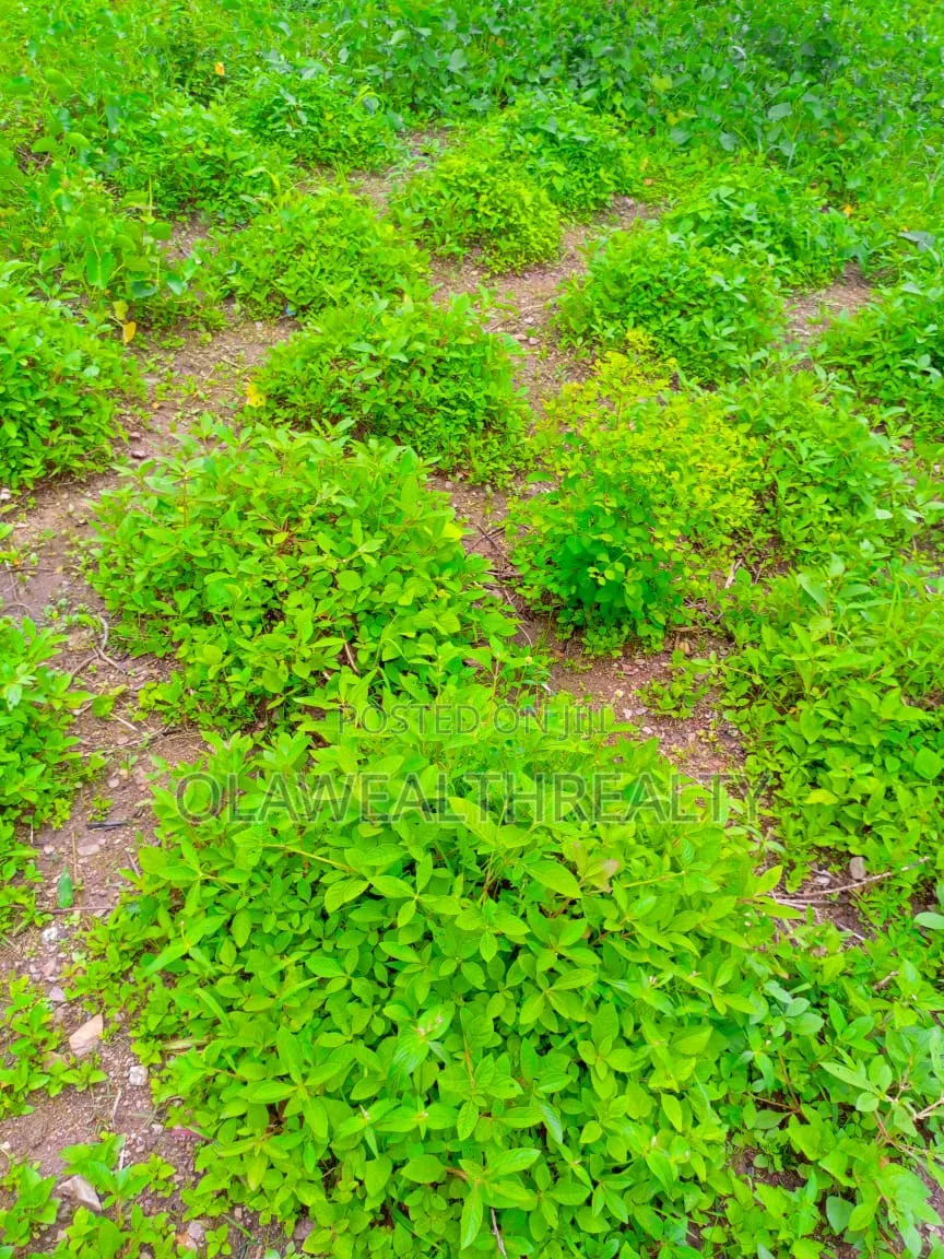 1.04hectare Commercial Land at Jabi Main in Jabi