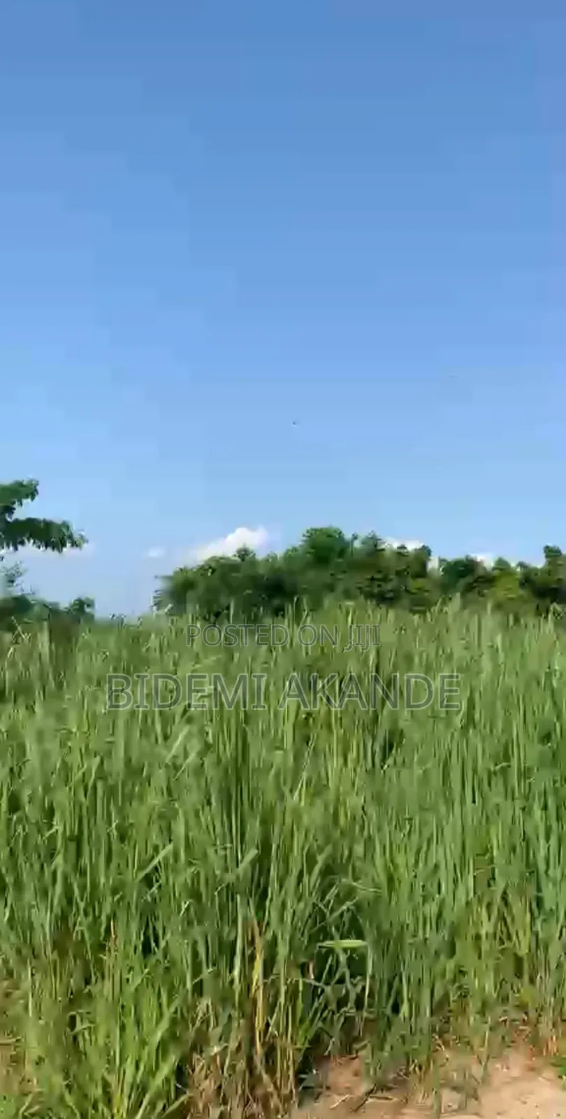 Full Plot for Sale in Asese in Obafemi-Owode