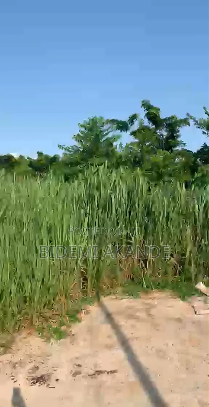 Full Plot for Sale in Asese in Obafemi-Owode
