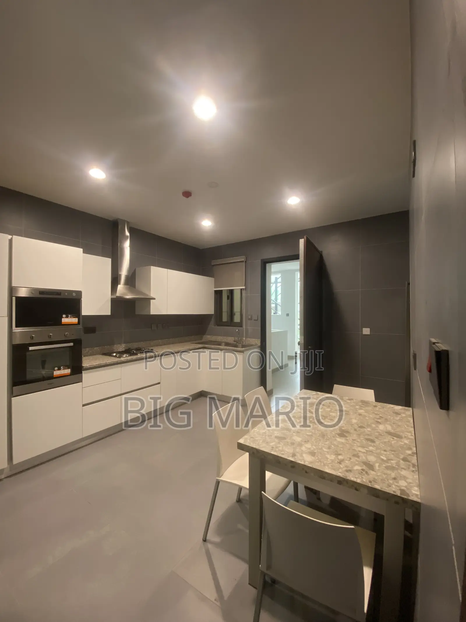 Furnished 3bdrm Apartment in Asokoro for rent in Asokoro