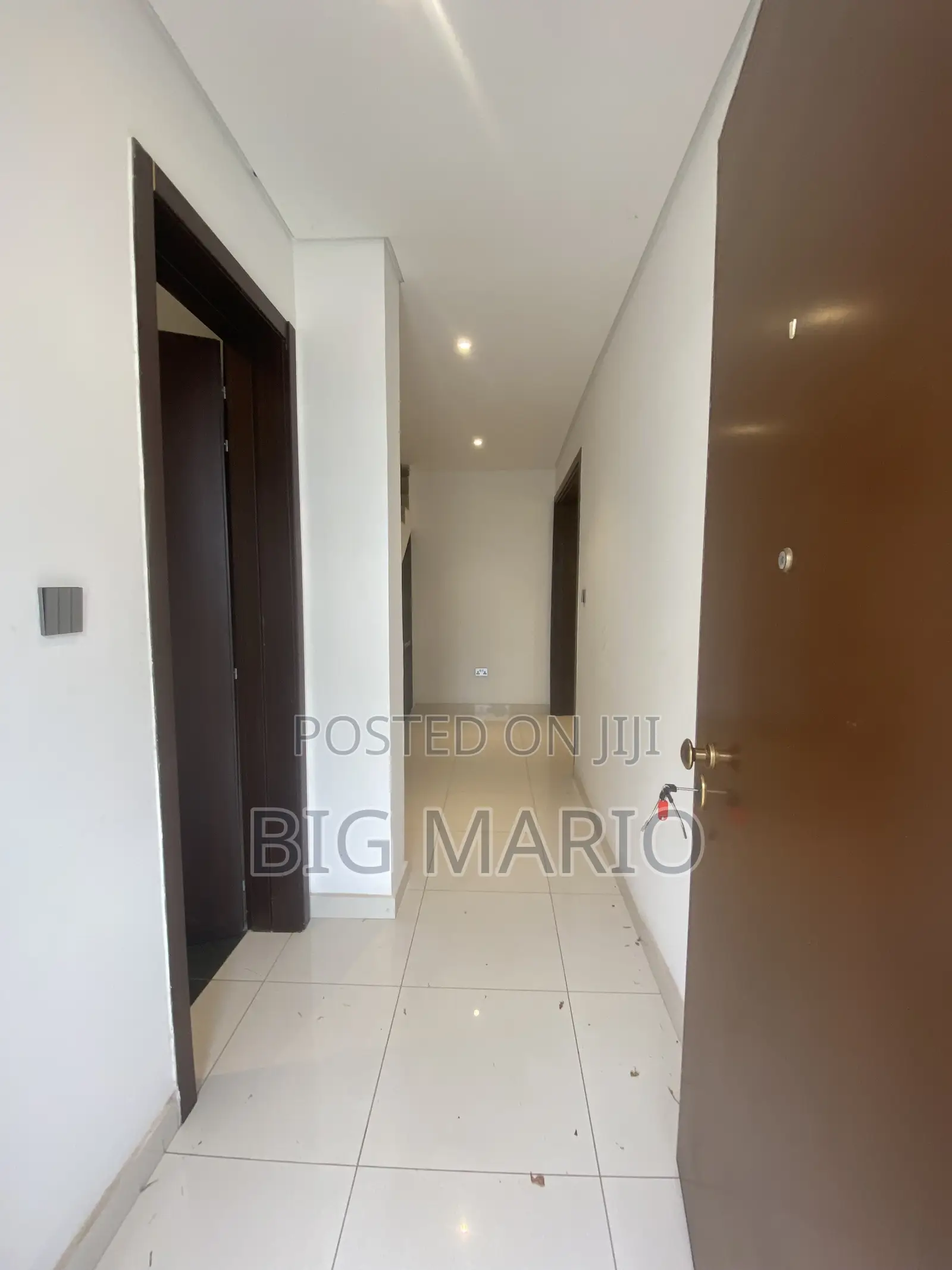Furnished 4bdrm Duplex in Asokoro for rent in Asokoro