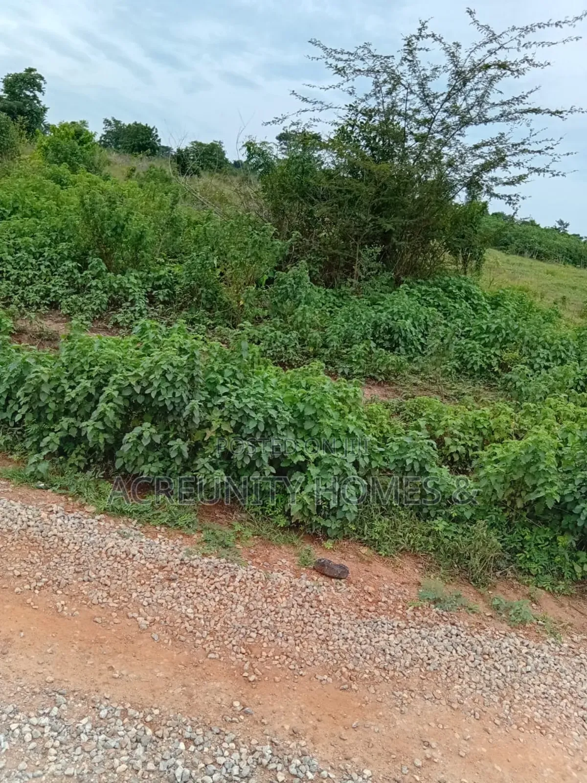 200 Acre of Commercial Land for Sale, Waasimi, Abeokuta-Iseyin Exp Way in Iseyin