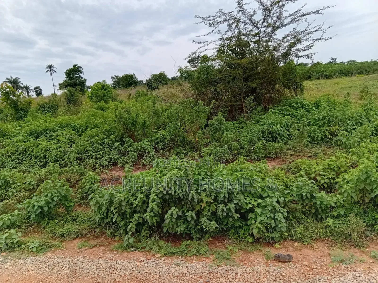 200 Acre of Commercial Land for Sale, Waasimi, Abeokuta-Iseyin Exp Way in Iseyin