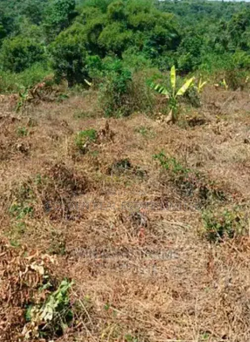 10 Plots of Land for Sale at Kogun Area Ikere Ekiti in Ikere