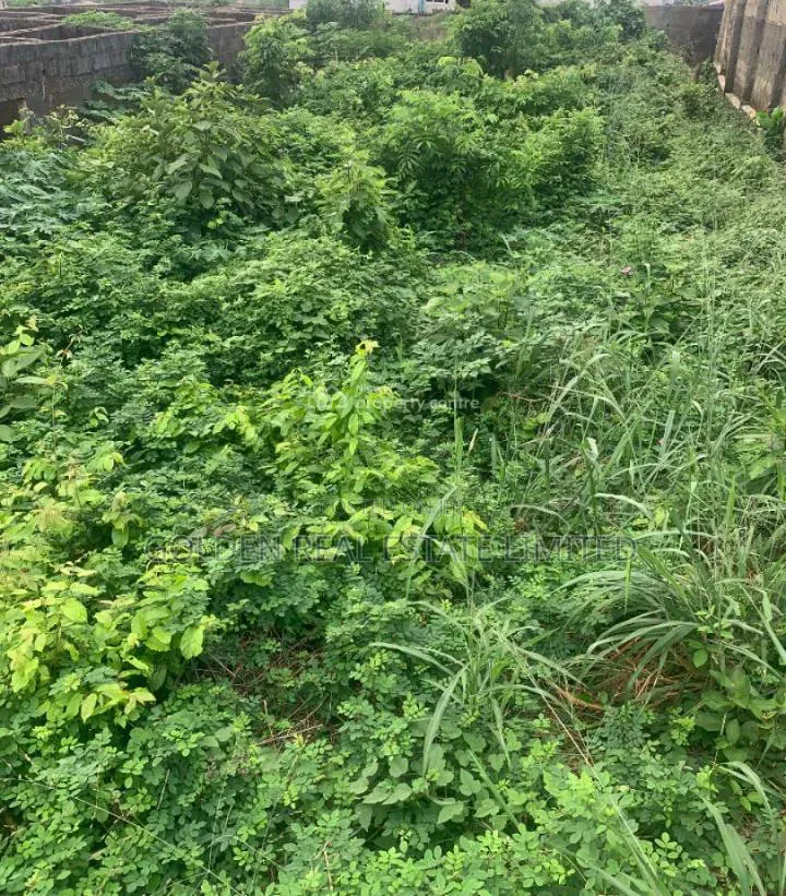 10 Plots of Land for Sale at Kogun Area Ikere Ekiti in Ikere