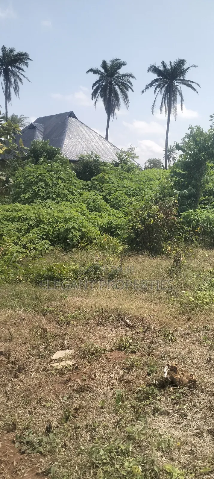 A Plot of Land Behind Peace Estate at Ojaja Area Abere Osun State in Osogbo