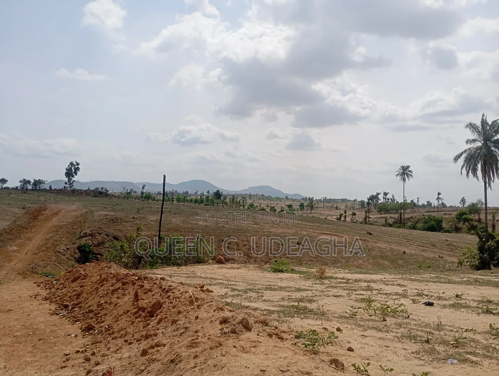 Kingsville Estate, Kurudu. in Kurudu