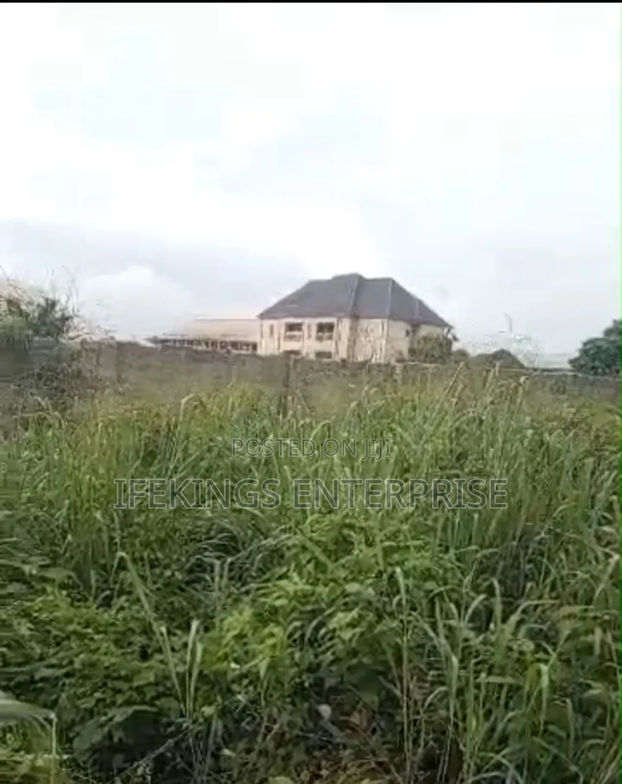 New Timber Ihieke Umuahia Abia State in Umuahia
