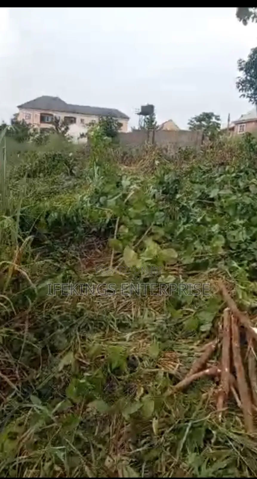 New Timber Ihieke Umuahia Abia State in Umuahia