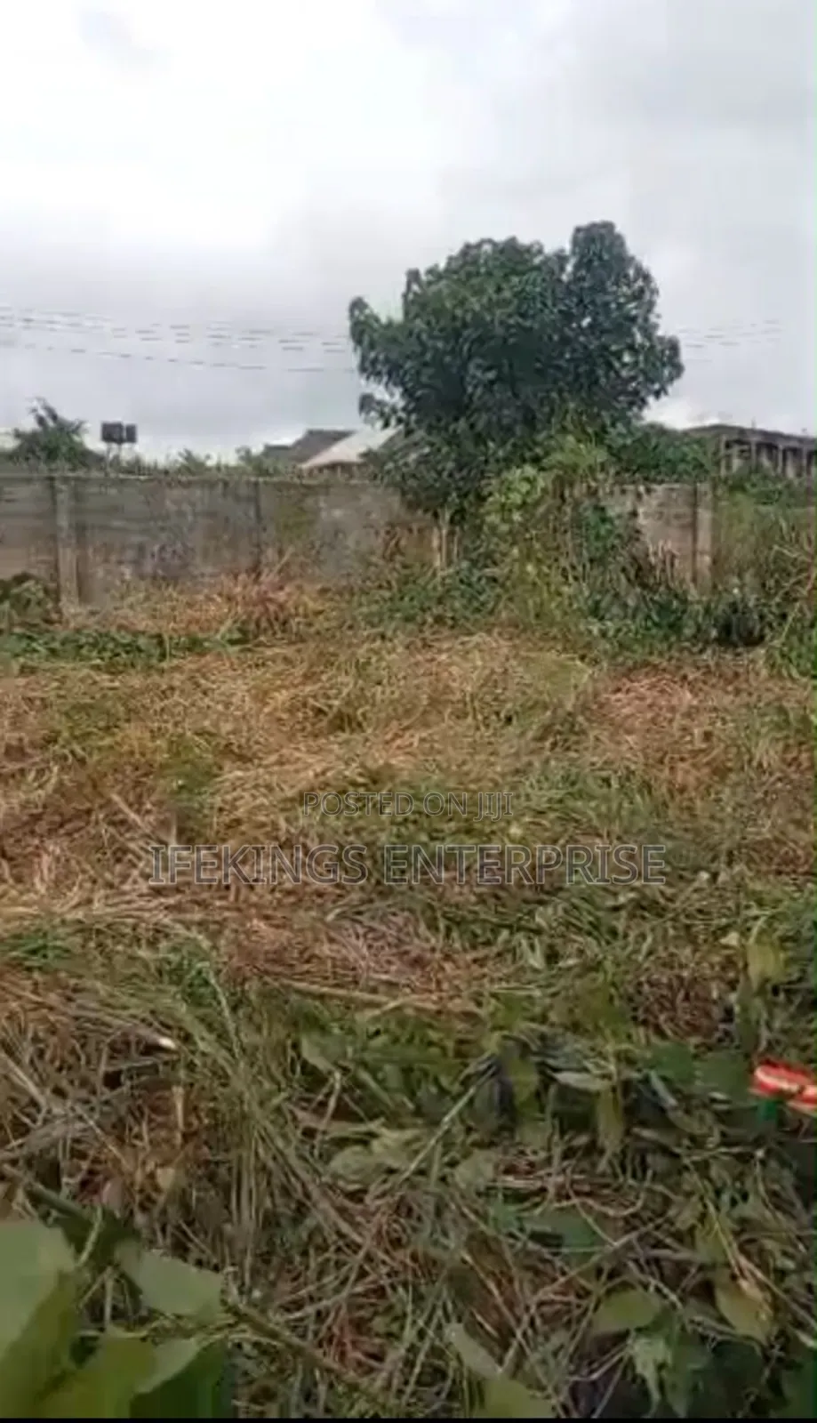 New Timber Ihieke Umuahia Abia State in Umuahia