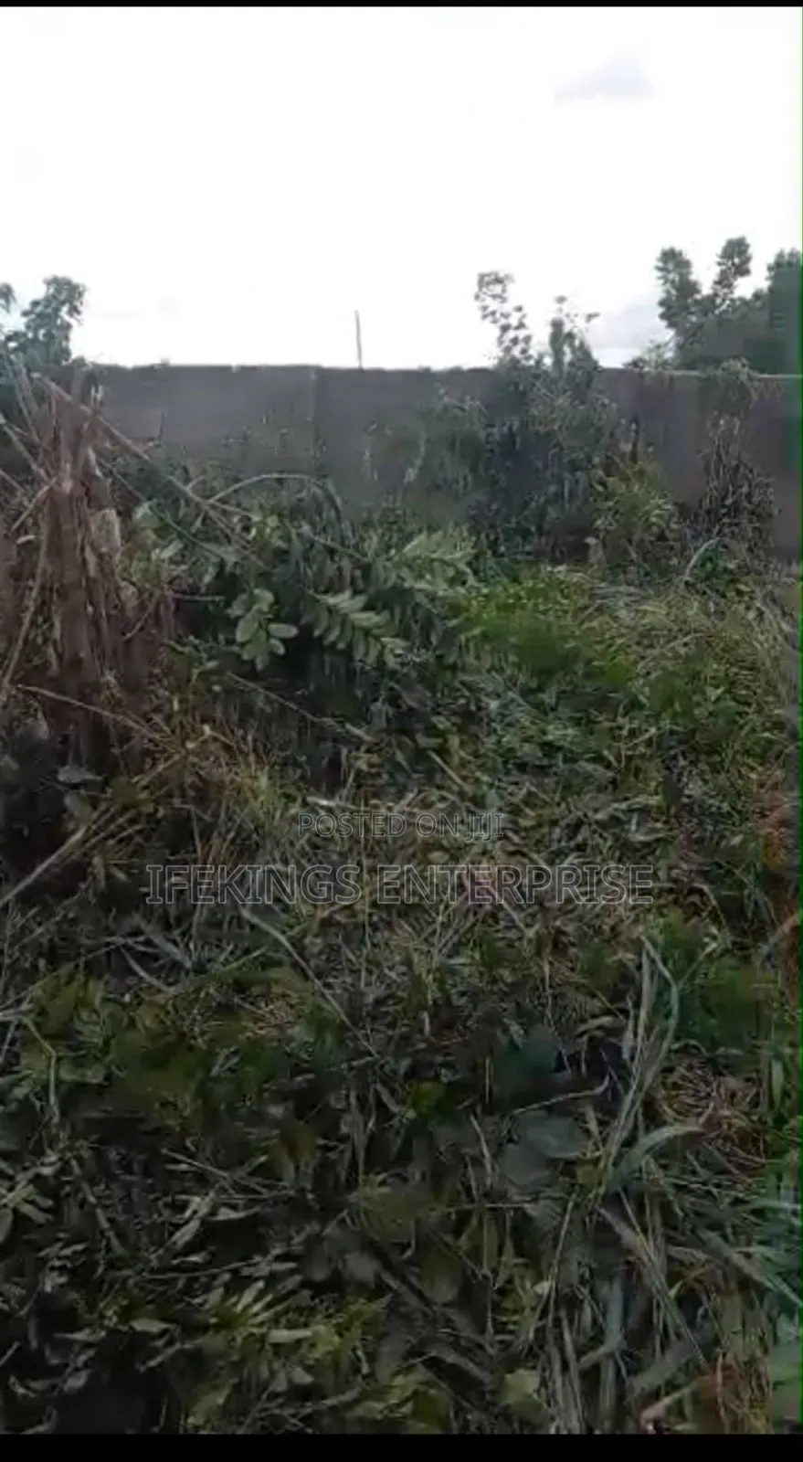 New Timber Ihieke Umuahia Abia State in Umuahia