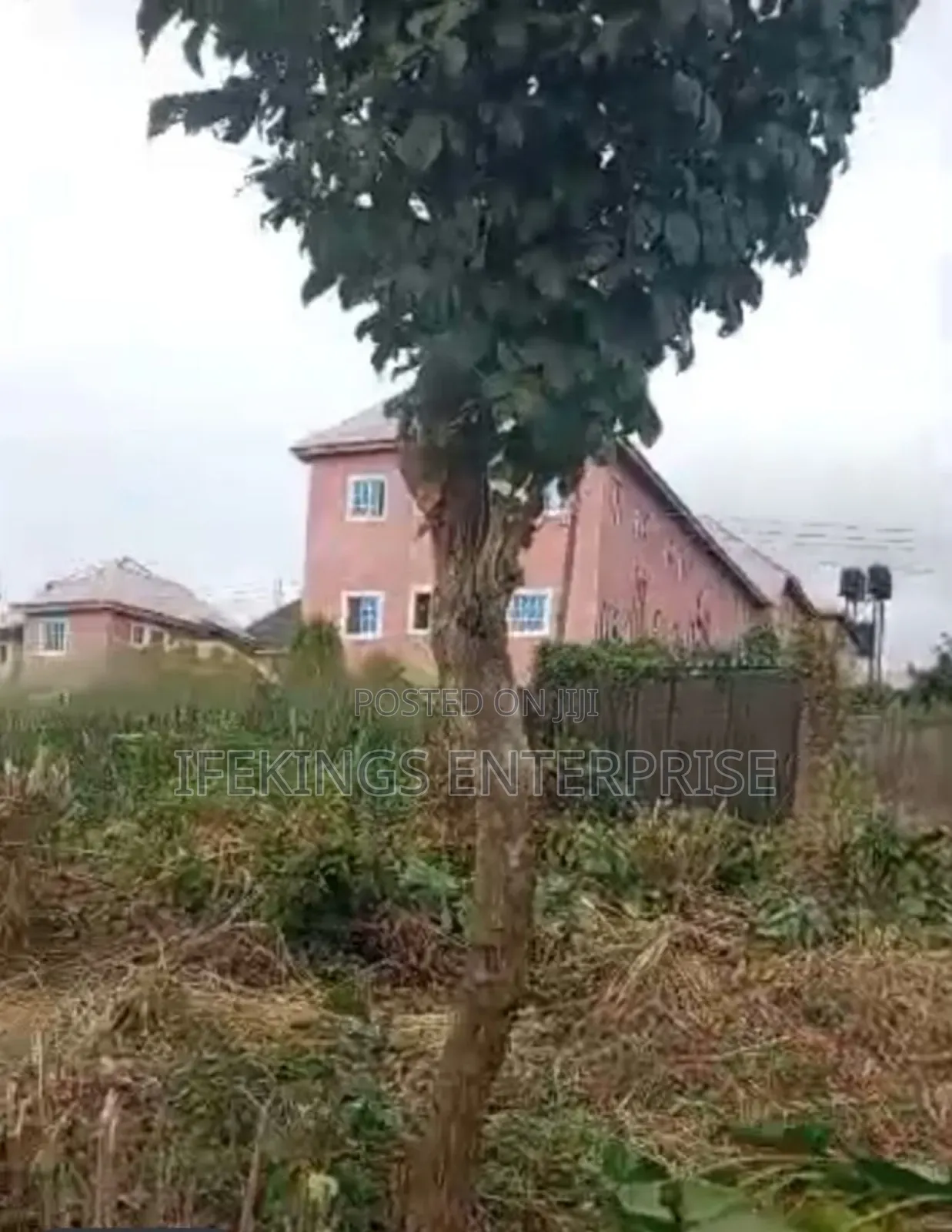 New Timber Ihieke Umuahia Abia State in Umuahia