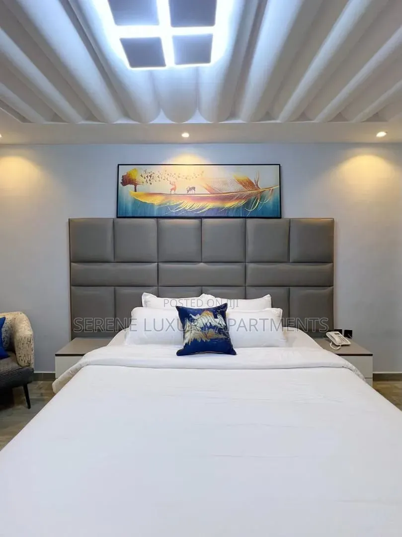 Luxurious One Bedroom Apartment With Swimming Pool in Opebi
