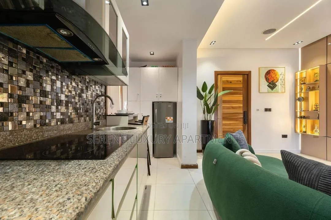 Luxury One Bedroom Apartment With Private Cinema in Lekki Phase 1