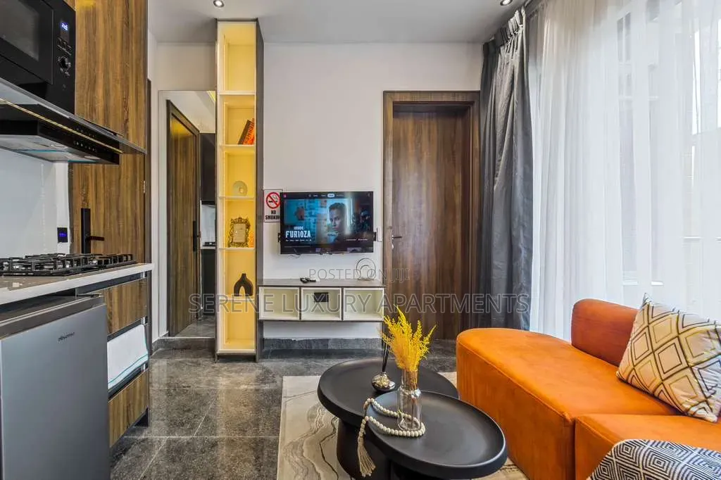 Luxury One Bedroom Apartment With Inbuilt Speaker and Balcony in Lekki Phase 1