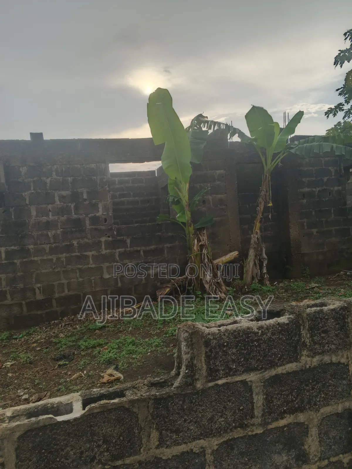 4bdrm Bungalow in Ayobo for sale in Ayobo