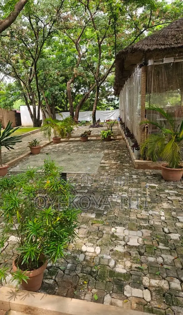 Cafe Space for Rent in Zone 1 / Wuse