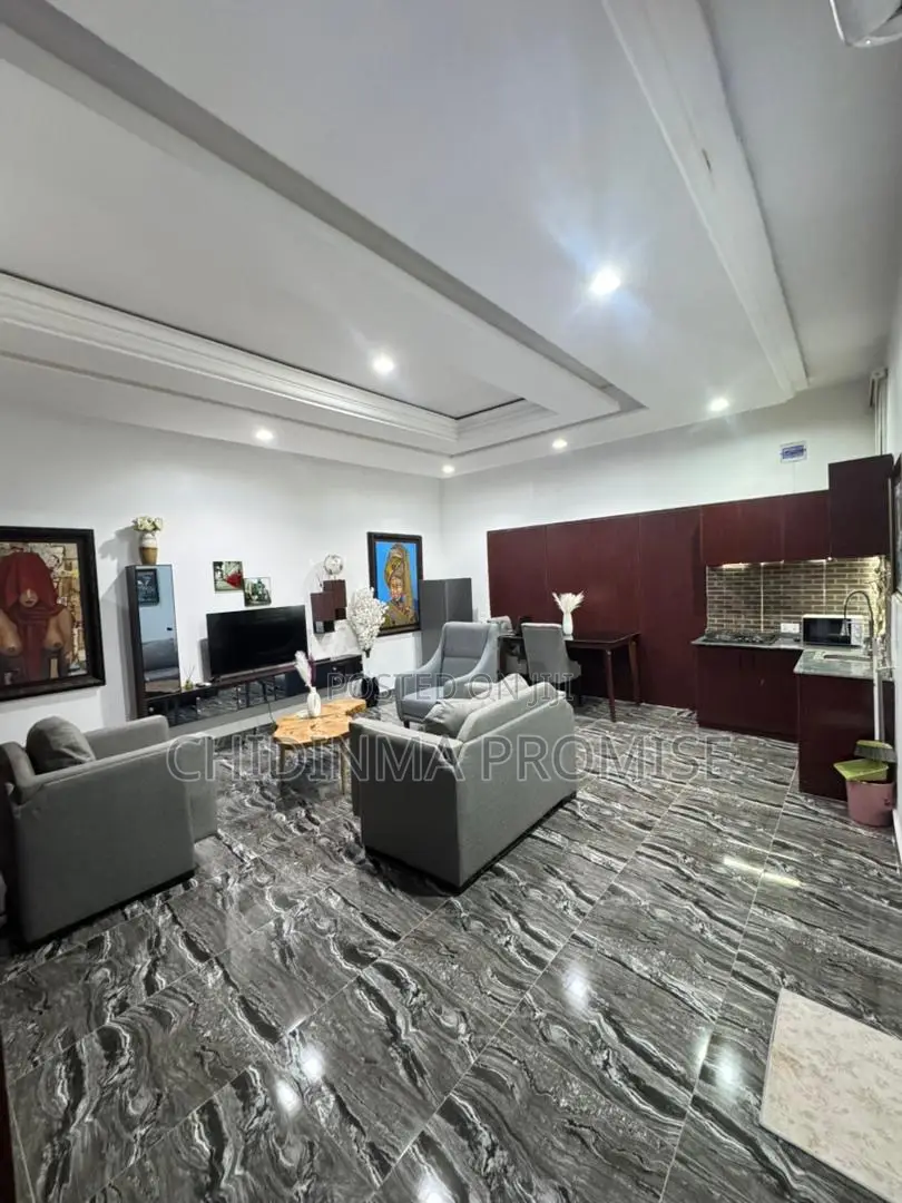 Furnished 1bdrm Apartment in Garki 2 for rent in Garki 2
