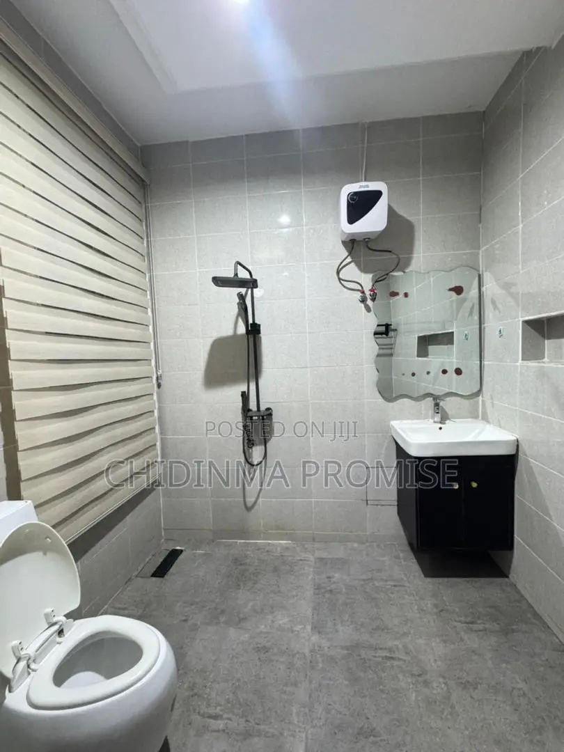 Furnished 1bdrm Apartment in Garki 2 for rent in Garki 2
