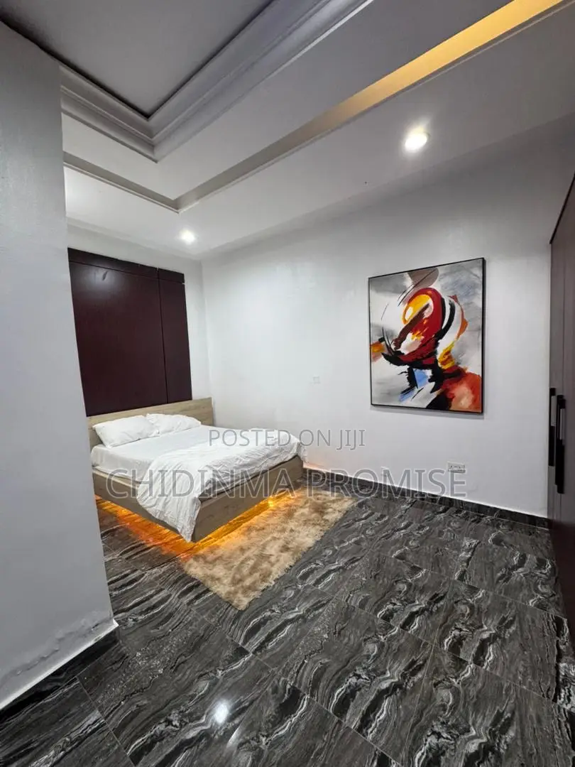 Furnished 1bdrm Apartment in Garki 2 for rent in Garki 2