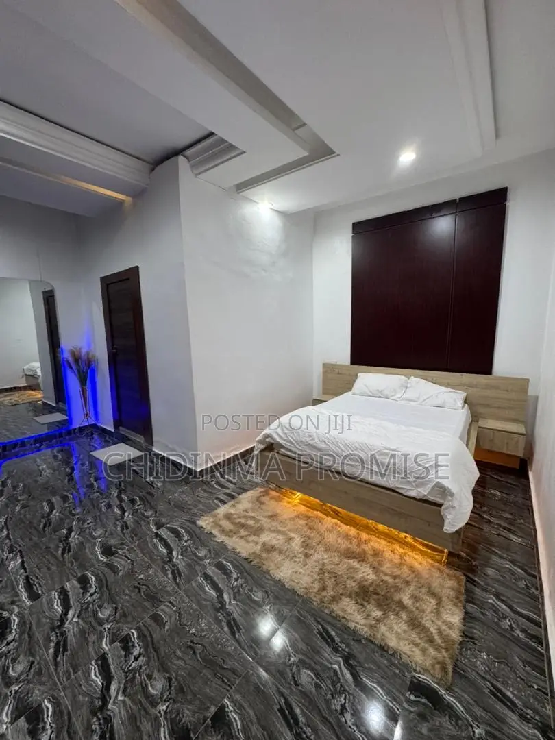 Furnished 1bdrm Apartment in Garki 2 for rent in Garki 2