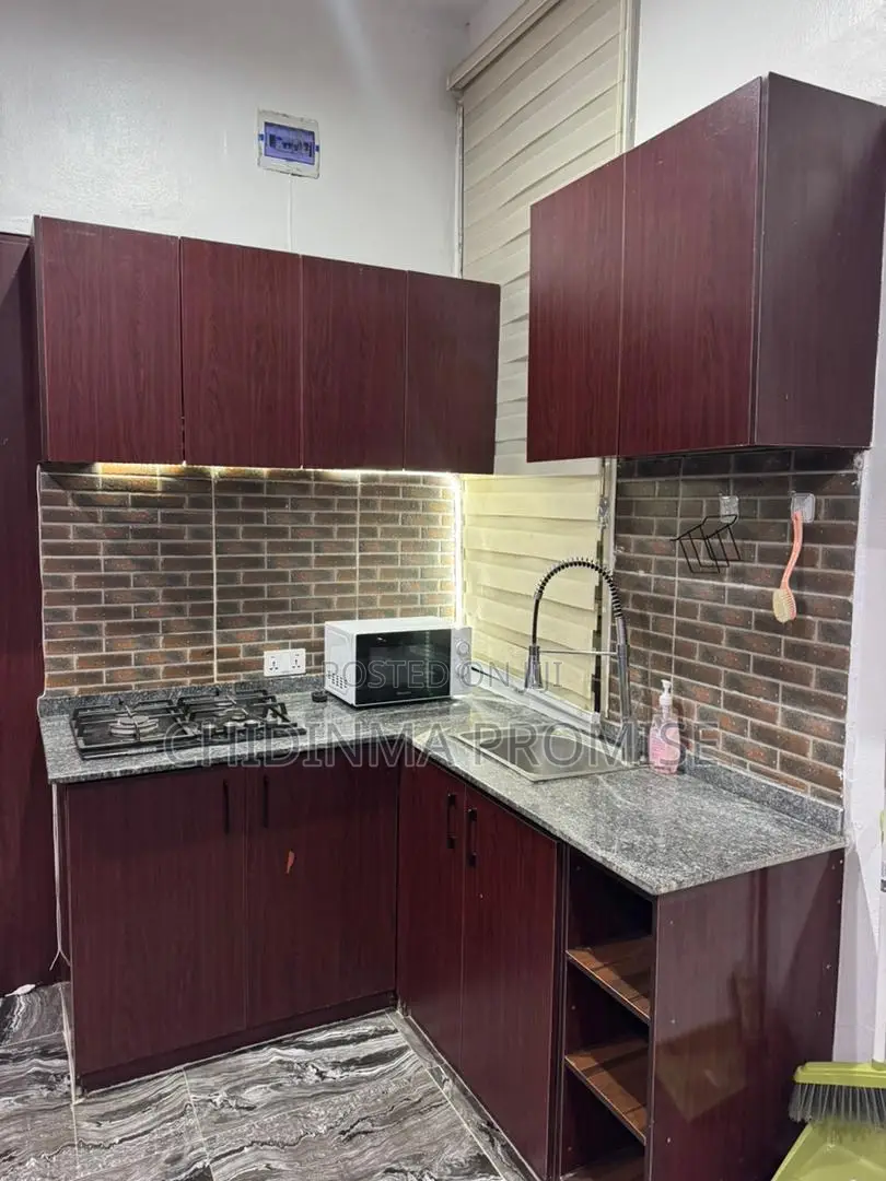 Furnished 1bdrm Apartment in Garki 2 for rent in Garki 2
