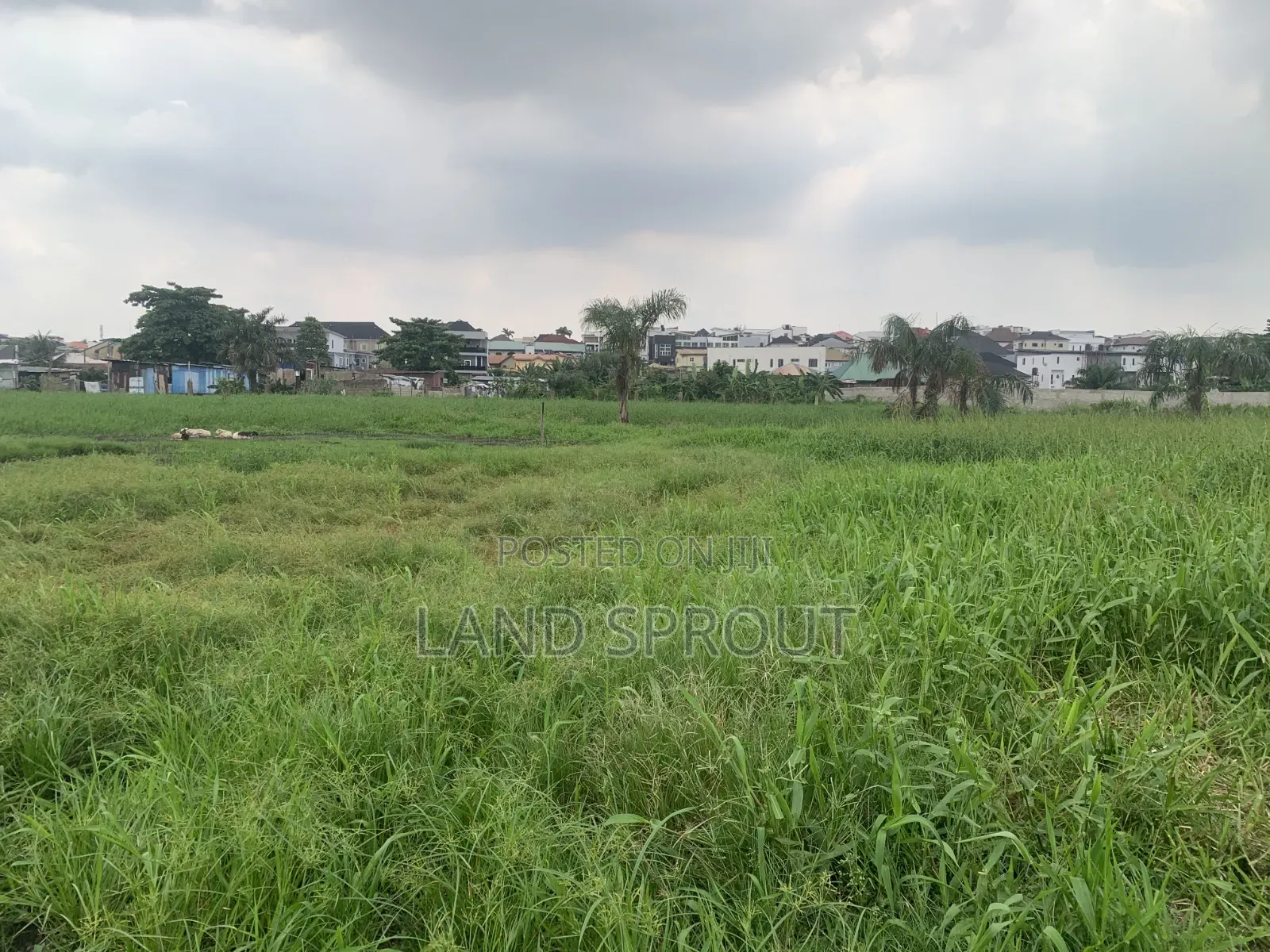 4 Plots of Land for Sale at Ikosi-Ketu, Lagos in Ketu-Ikosi
