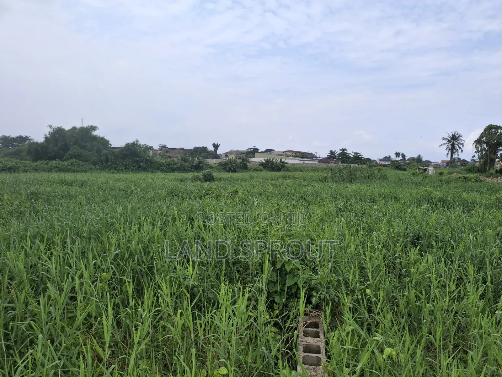 5 Plots of Land for Sale at Ogudu, Lagos in Kosofe / Kosofe