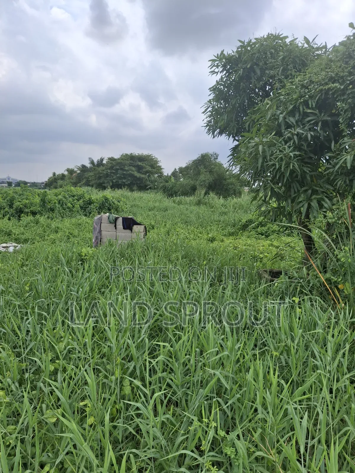 5 Plots of Land for Sale at Ogudu, Lagos in Kosofe / Kosofe