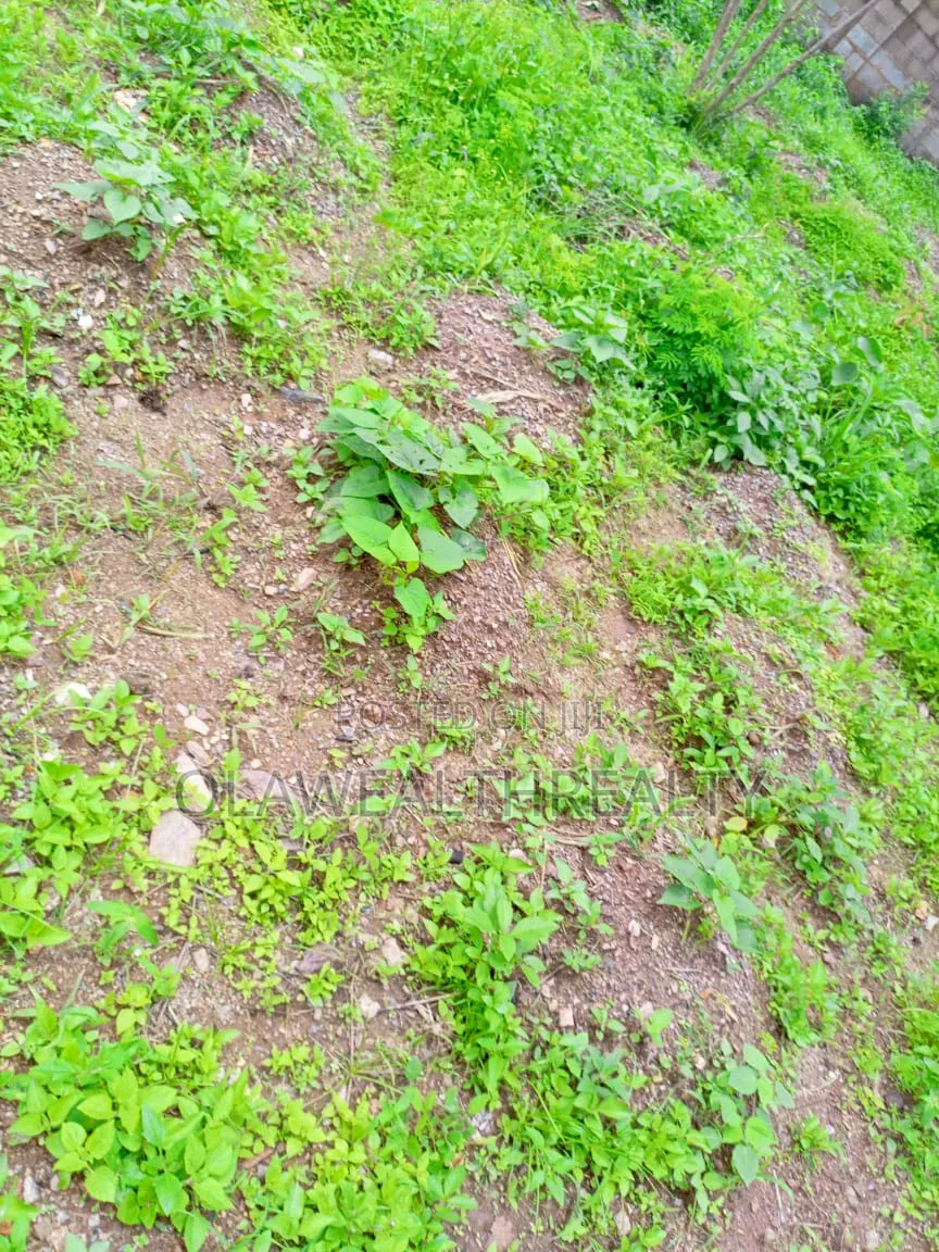 1.96 Hectares Mixed-Use Land at Maitama Main in Maitama