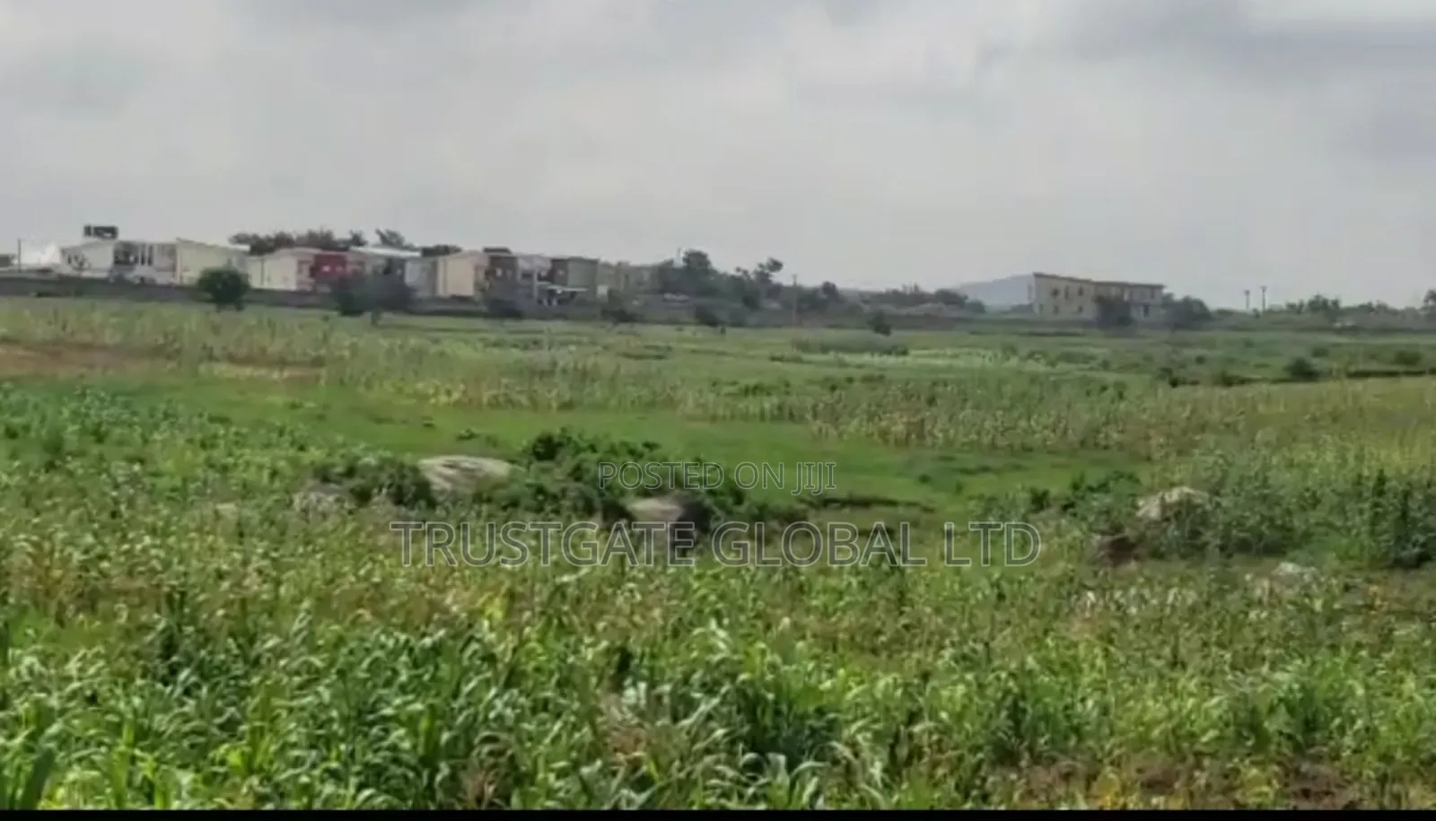 5.2 Hectares of Mixed Used Land in Kiami