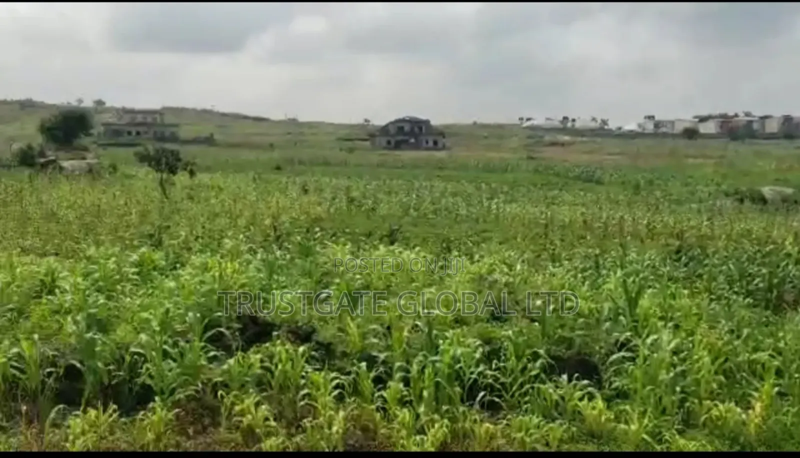 5.2 Hectares of Mixed Used Land in Kiami