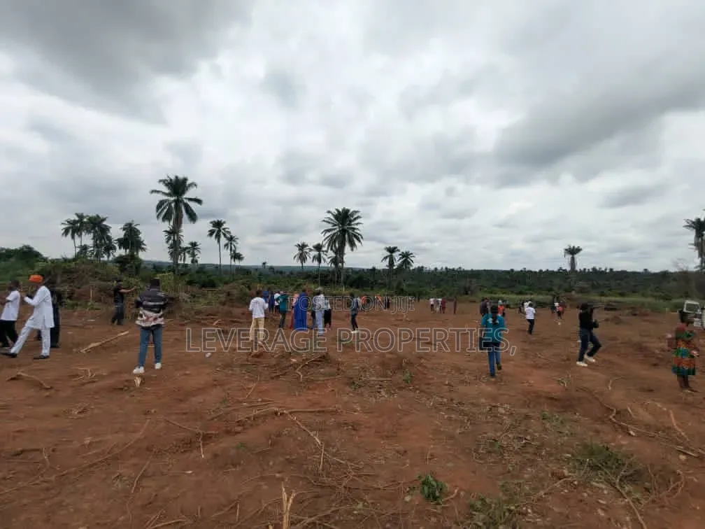 Affordable Land Around Gateway International Airport, Iperu in Ikenne
