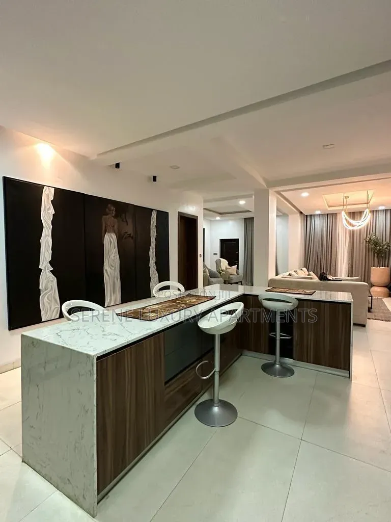 Luxury 2bedroom Apartment With Swimming Pool and Gym in Banana Island