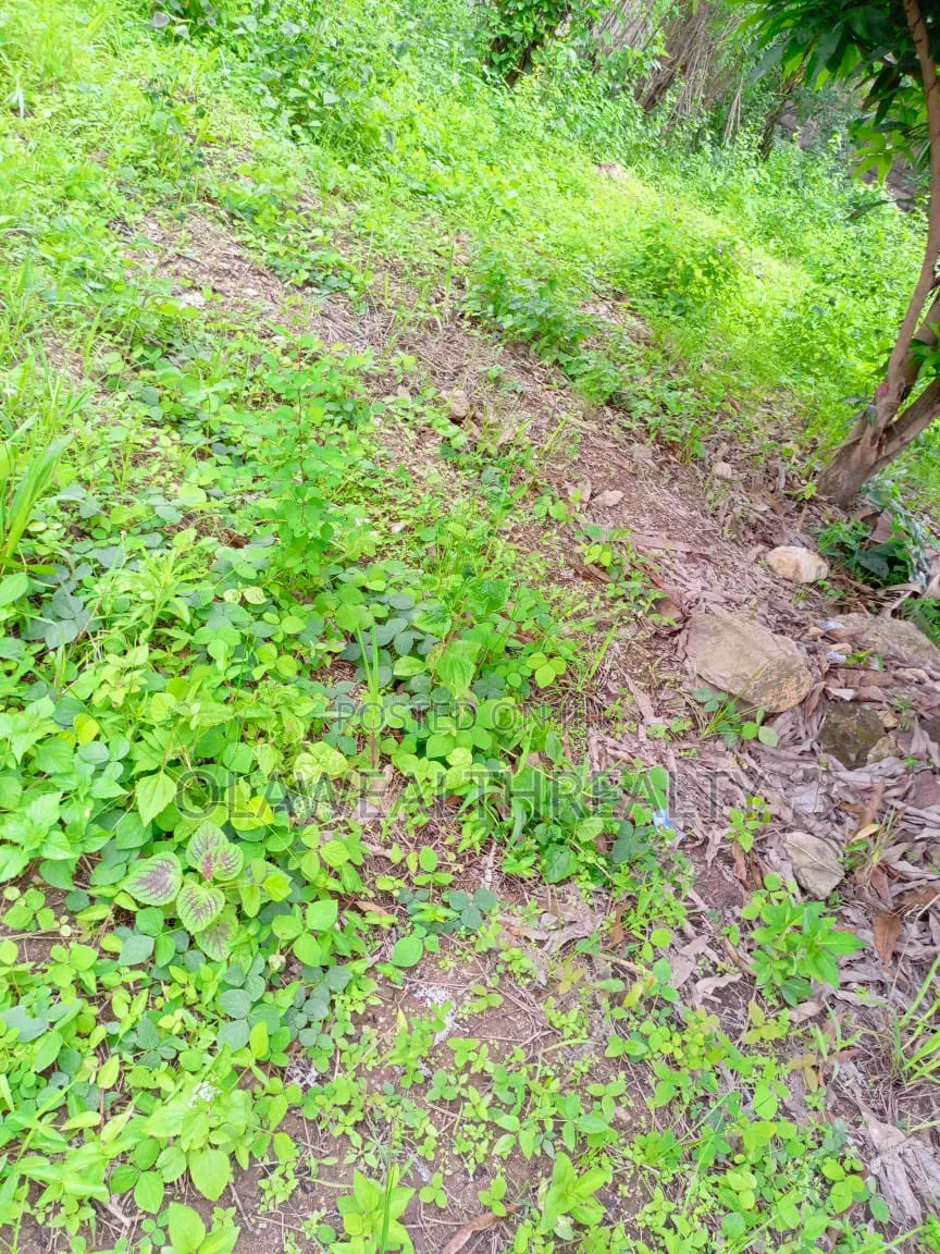 2,306sqm Residential Land at Maitama Main in Maitama