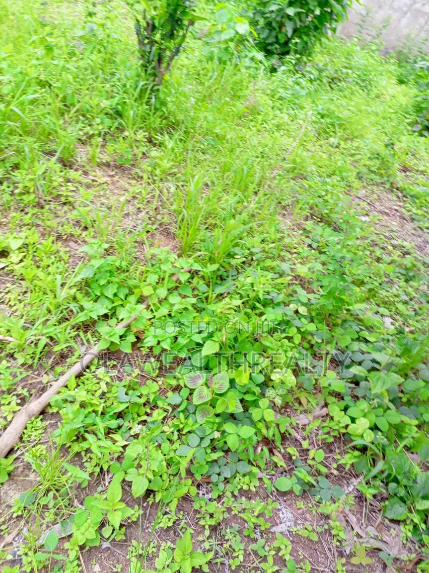 1,600sqm Residential Land at Maitama Main in Maitama