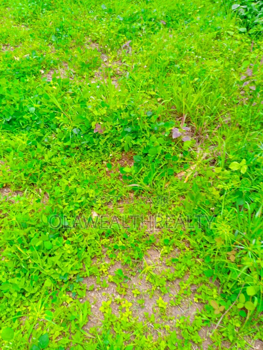 1,600sqm Residential Land at Maitama Main in Maitama