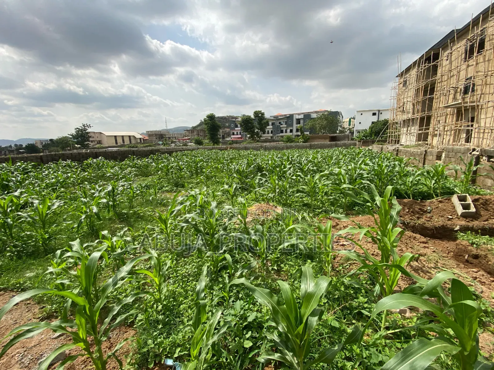 1368sqm Residential Land for Sale in Katampe (Main)