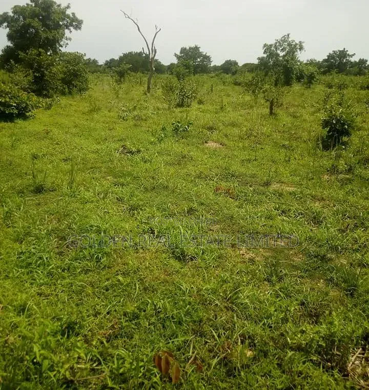 For Sale 2 Plots of Land at Imola-Ijadu , Ado Ekiti. Price: #2m for 2 in Ado Ekiti
