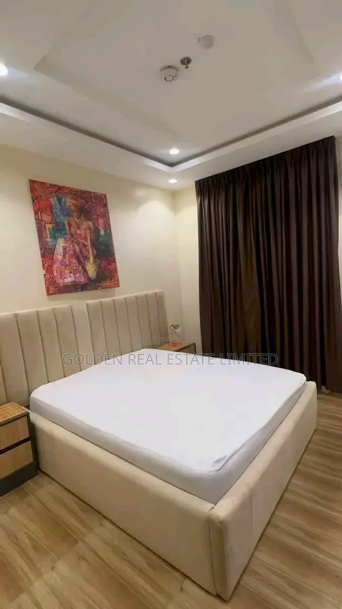 Furnished 3bdrm Apartment in Asokoro for rent in Asokoro