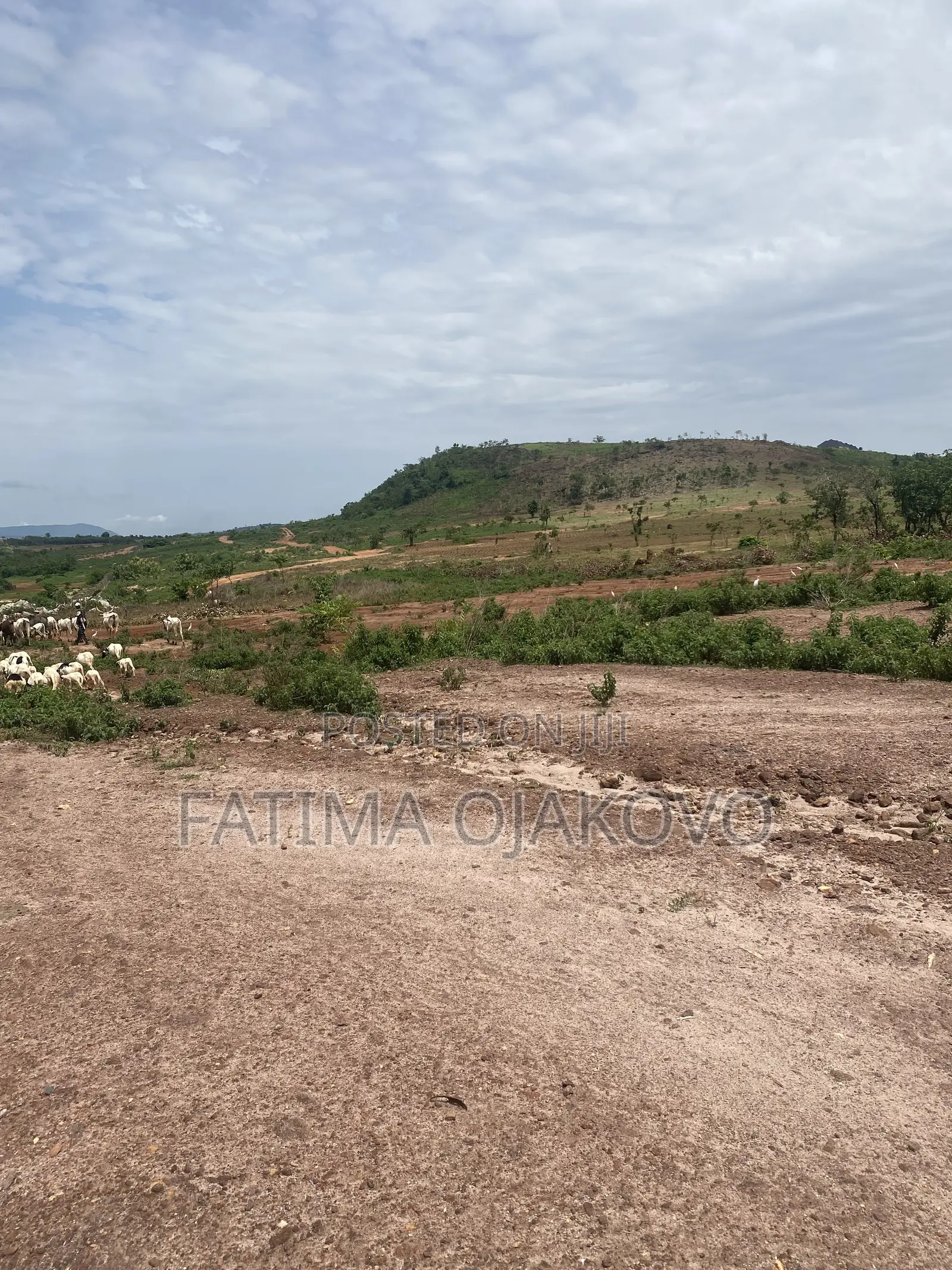 Land/ Property for Sale in Apo Resettlement