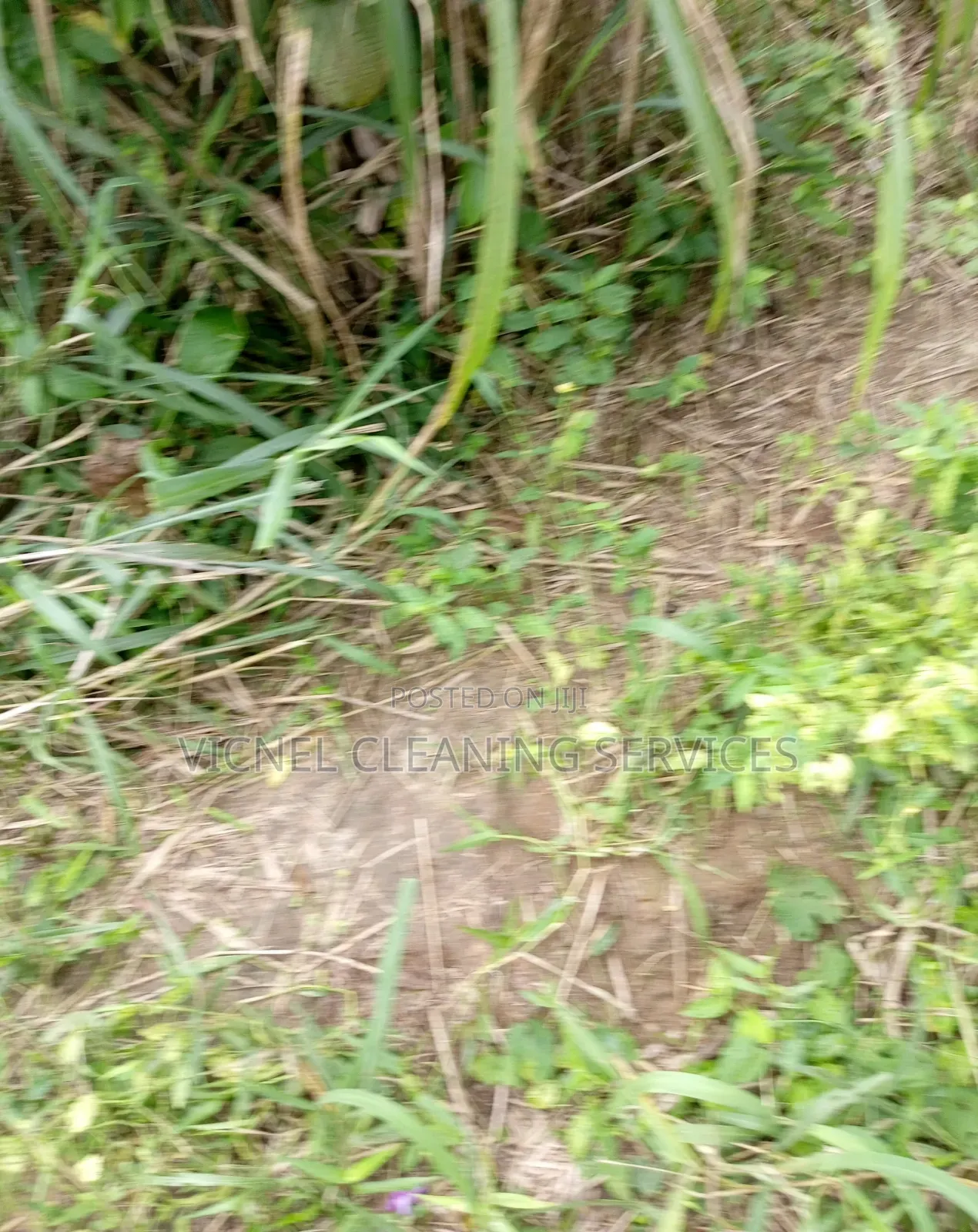 Plots Of Land At Igwuruta Ali Omagwa Achievers Estates Ph 2 in Port-Harcourt