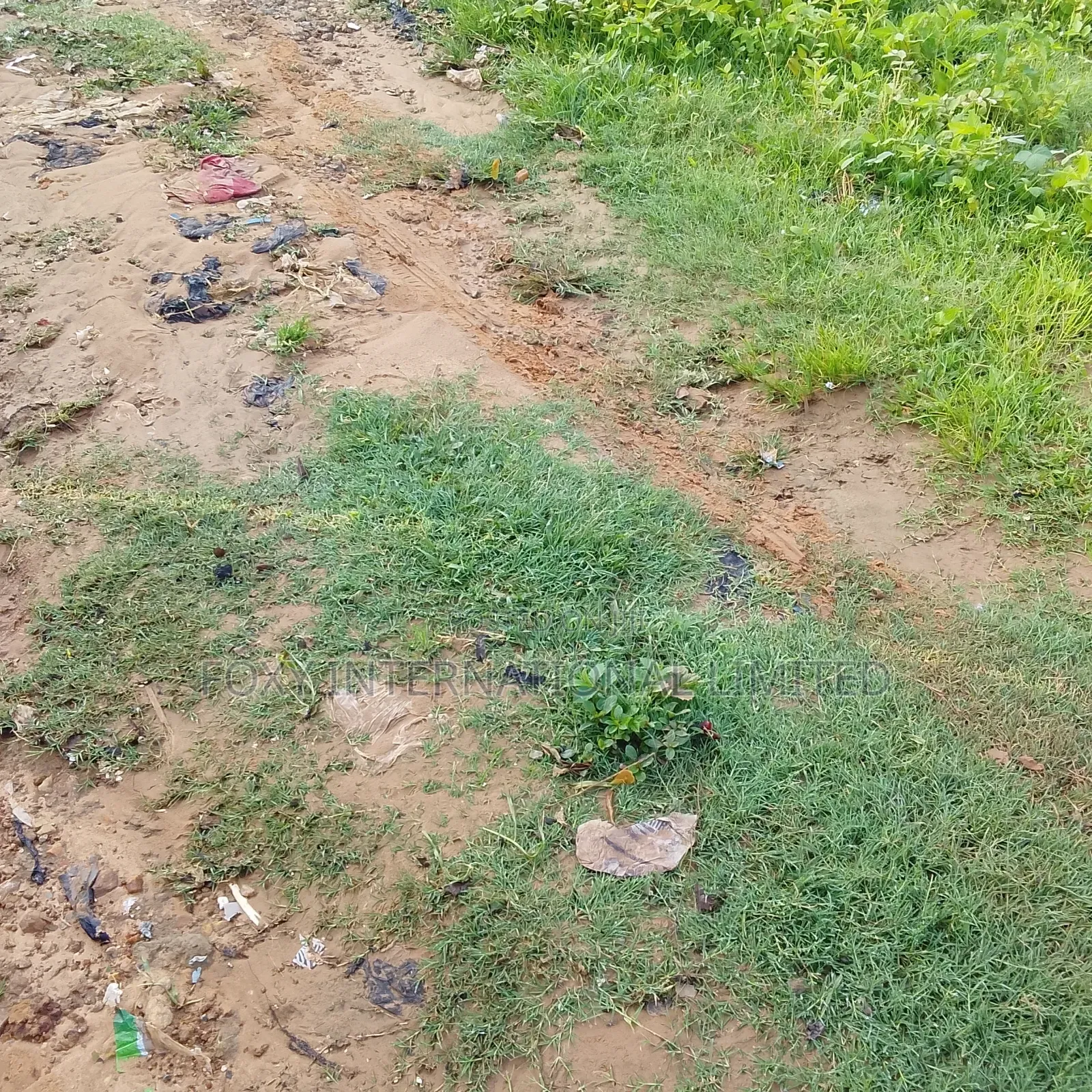 145 Hectares at Wasa in Wasa