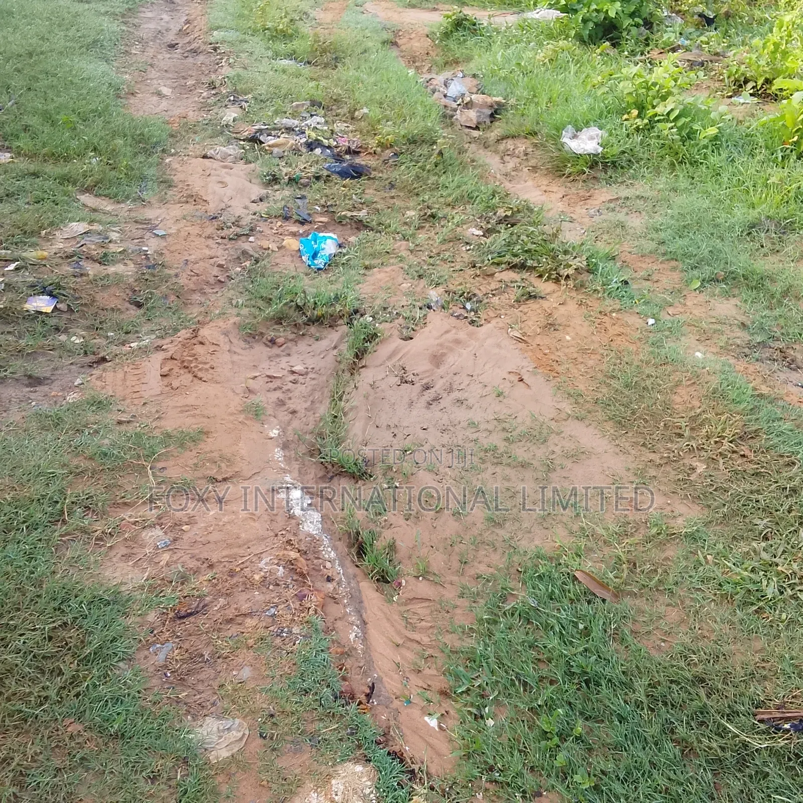 145 Hectares at Wasa in Wasa