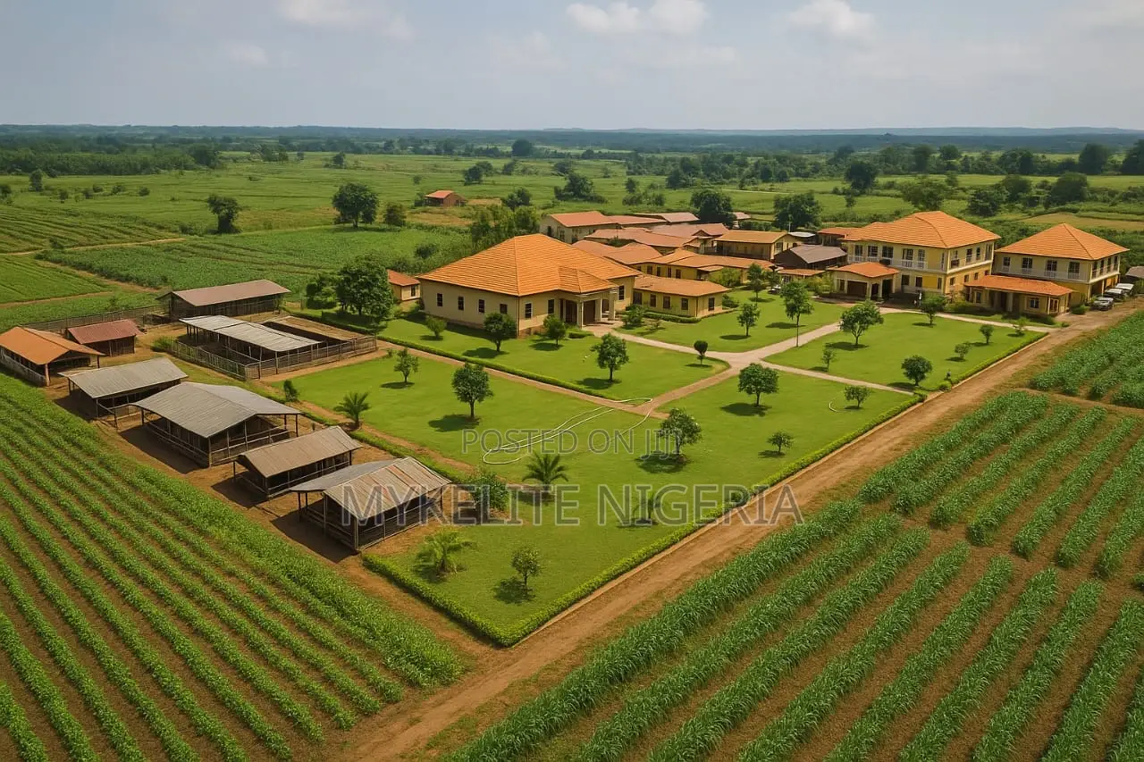 Palm Plantation Land Ownership in Ado-Odo/Ota