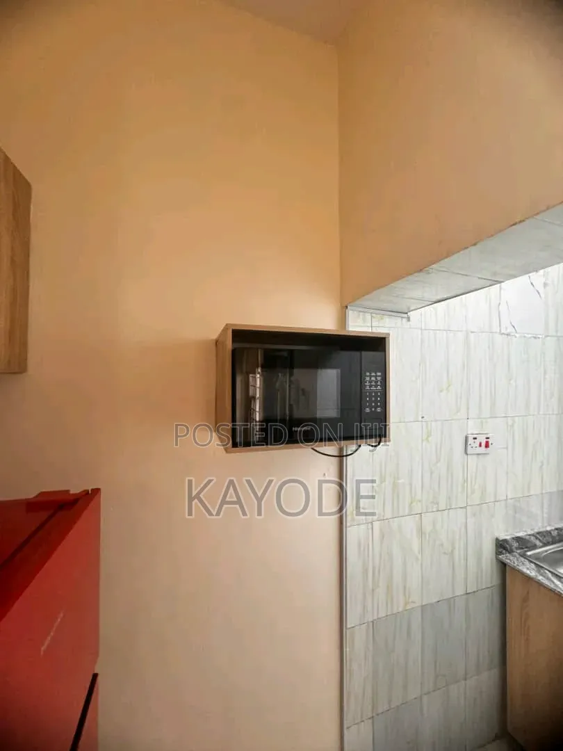 One Selfie Bedroom Apartment in Ikeja GRA