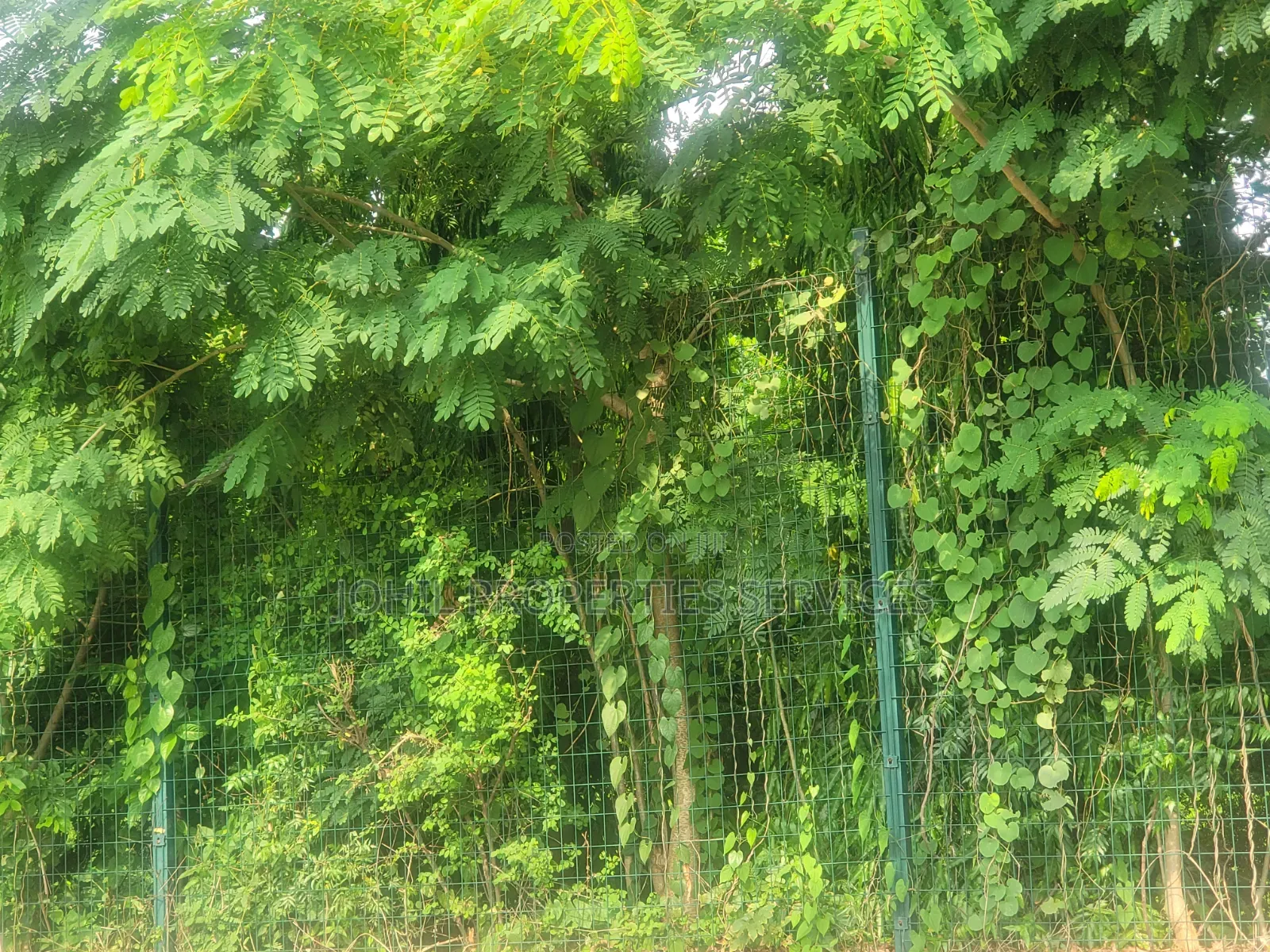 50.14 Hectares of Land Available for Sale
Location: Wasa–Apo Abuja in Wasa