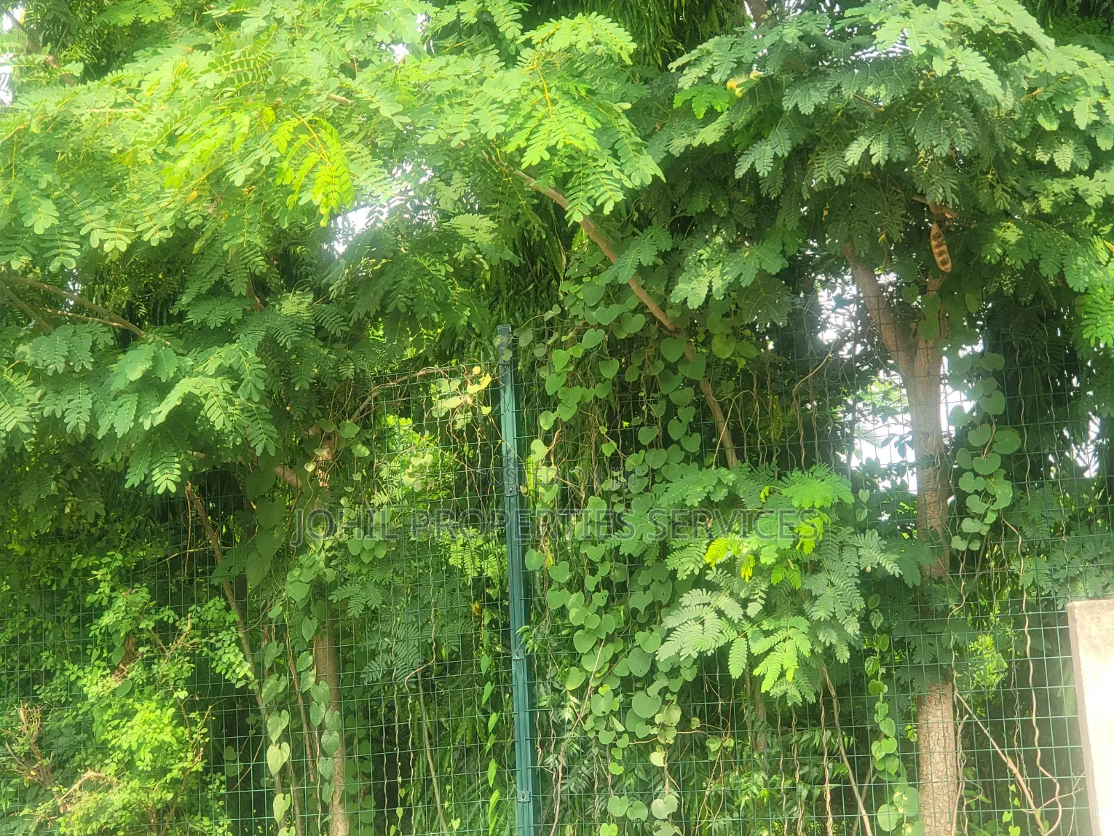50.14 Hectares of Land Available for Sale
Location: Wasa–Apo Abuja in Wasa